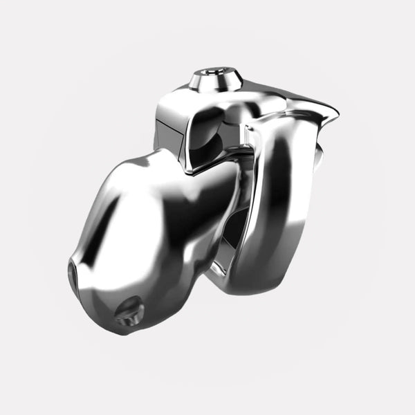 Cage de Chasteté Trainer V5 - Métal - Chastifyme