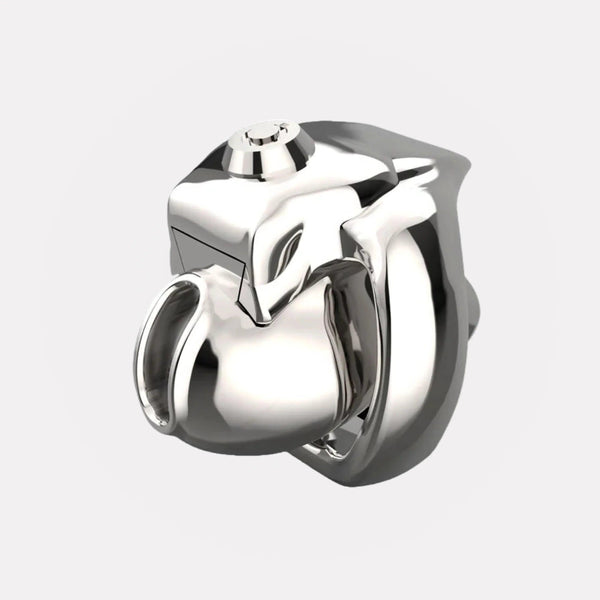 Cage de Chasteté Trainer V5 - Métal - Chastifyme