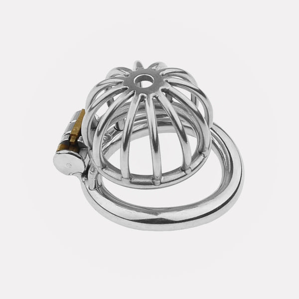 Cage de Chasteté Nub Anaconda Rings - Métal - Chastifyme