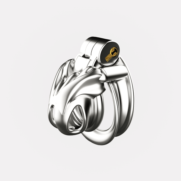 Cage de Chasteté Python V5 - Métal - Chastifyme