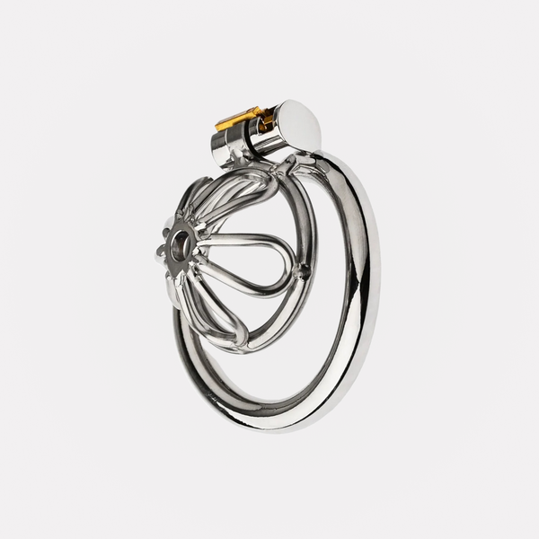 Cage de Chasteté Ring - Métal