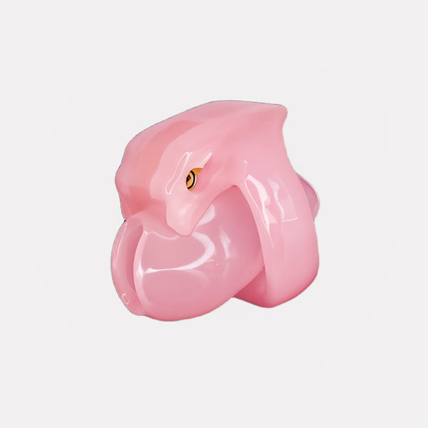 Cage de Chasteté Holy Trainer V4 - Résine