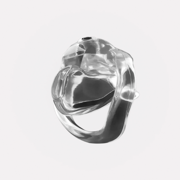 Cage de Chasteté en Résine - Holy Trainer V5