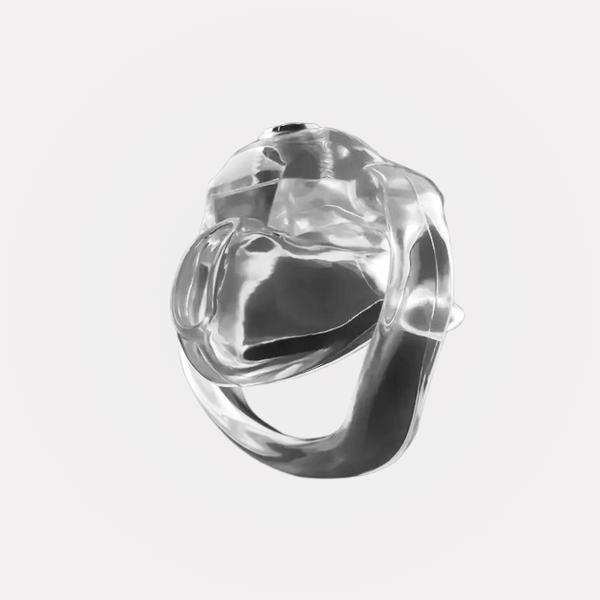 Cage de Chasteté en Résine - Holy Trainer V5