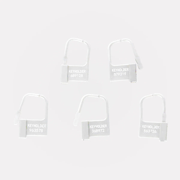 Serrures à Usage Unique