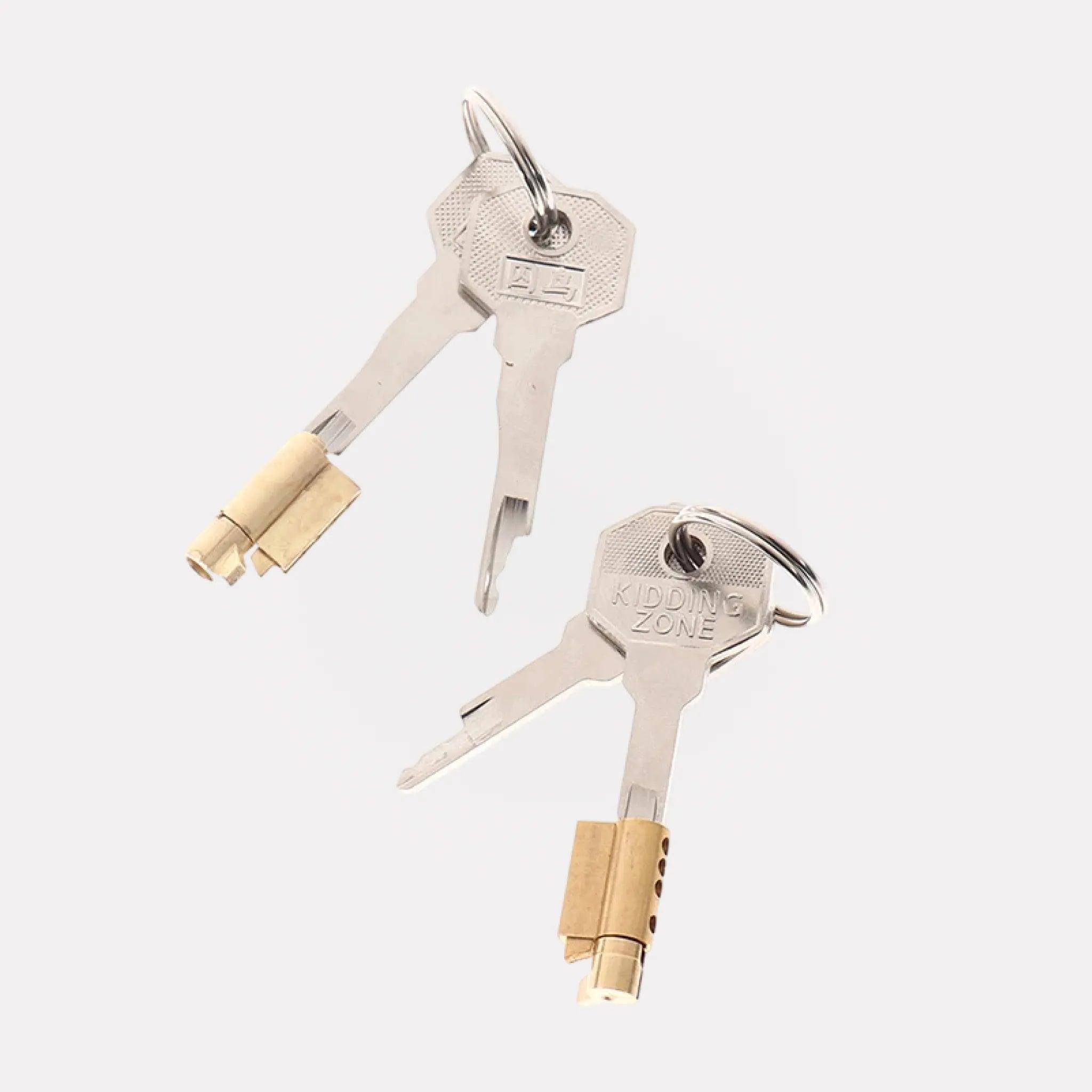 Replacement keys &amp; cylinder