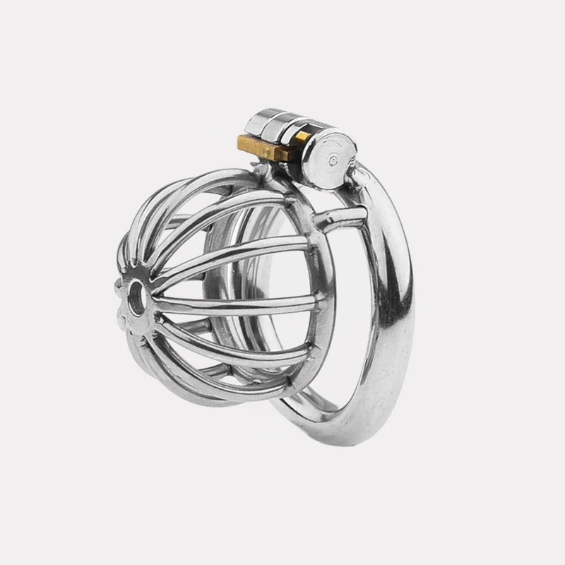 Anaconda Rings